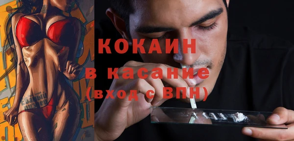 сатива Алексеевка