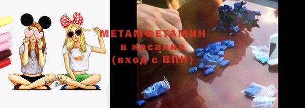 шишки Дмитриев