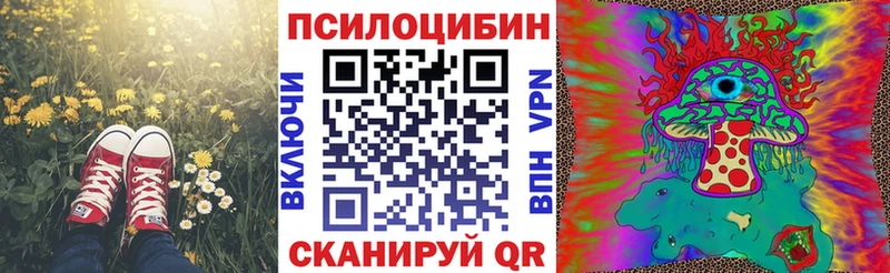 купить  цена  KRAKEN онион  Псилоцибиновые грибы GOLDEN TEACHER  Балабаново 